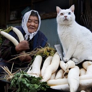 Nouvelle aventure à 65 ans, pourquoi pas ? Mai-Linh - rencontre-Cougar-Clermont-Ferrand